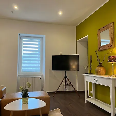 Ferienwohnung1 公寓 *